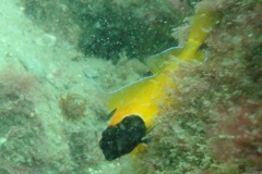DSC00504